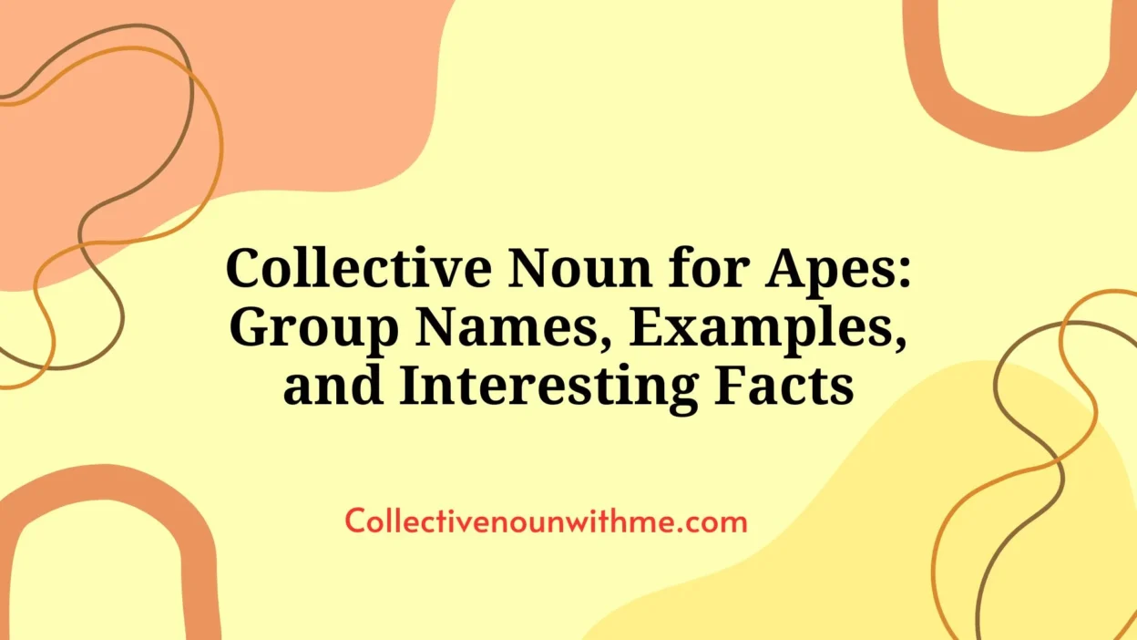 Collective Noun for Apes: Group Names, Examples, and Interesting Facts