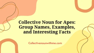 Collective Noun for Apes: Group Names, Examples, and Interesting Facts