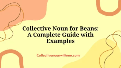 Collective Noun for Beans: A Complete Guide with Examples