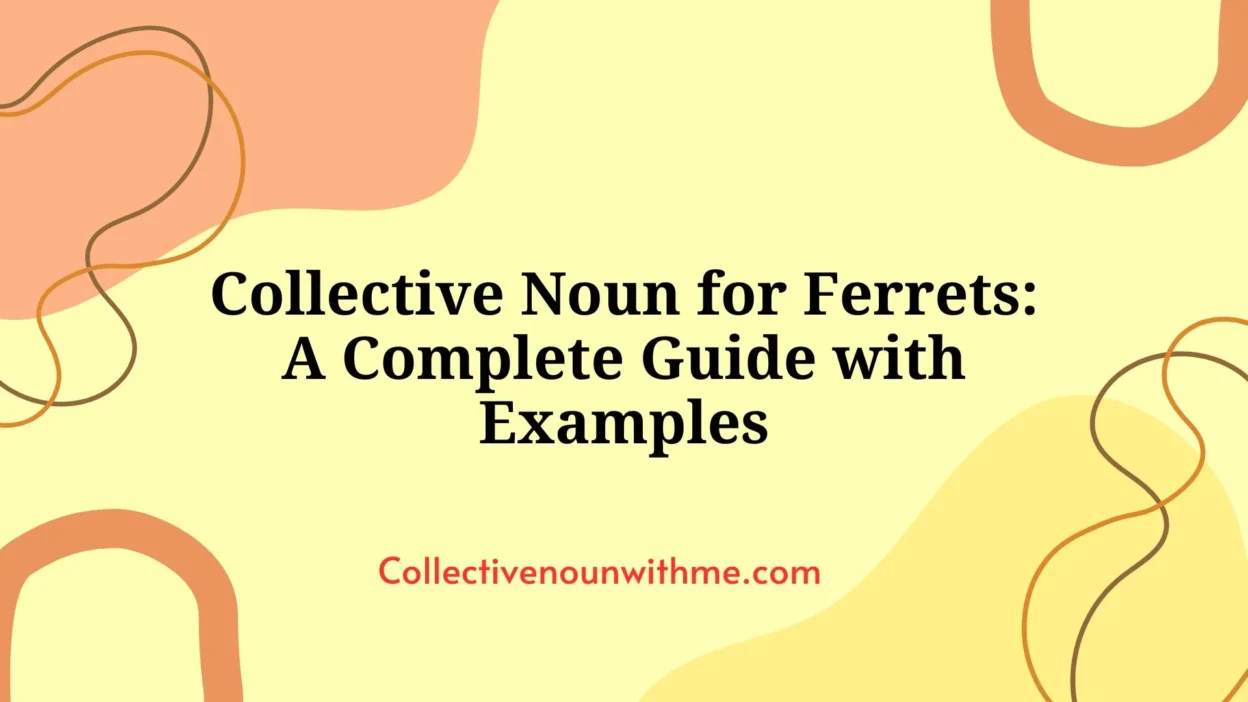 Collective Noun for Ferrets: A Complete Guide with Examples