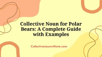 Collective Noun for Polar Bears: A Complete Guide with Examples