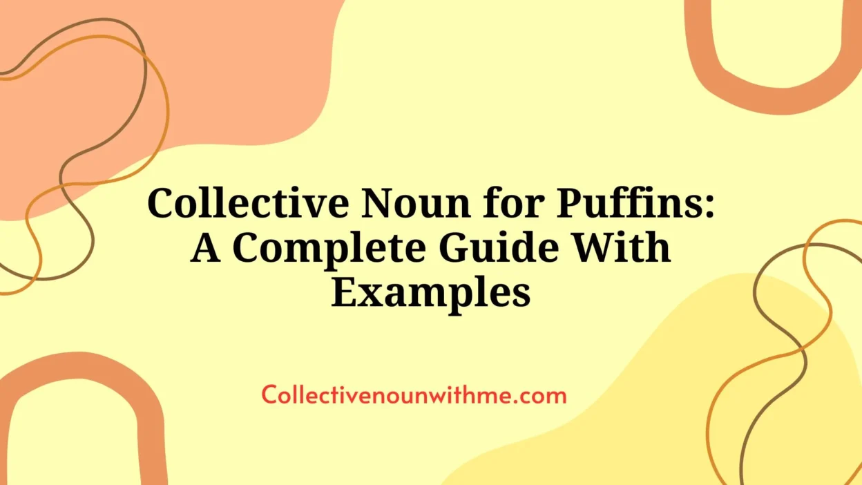 Collective Noun for Puffins: A Complete Guide With Examples