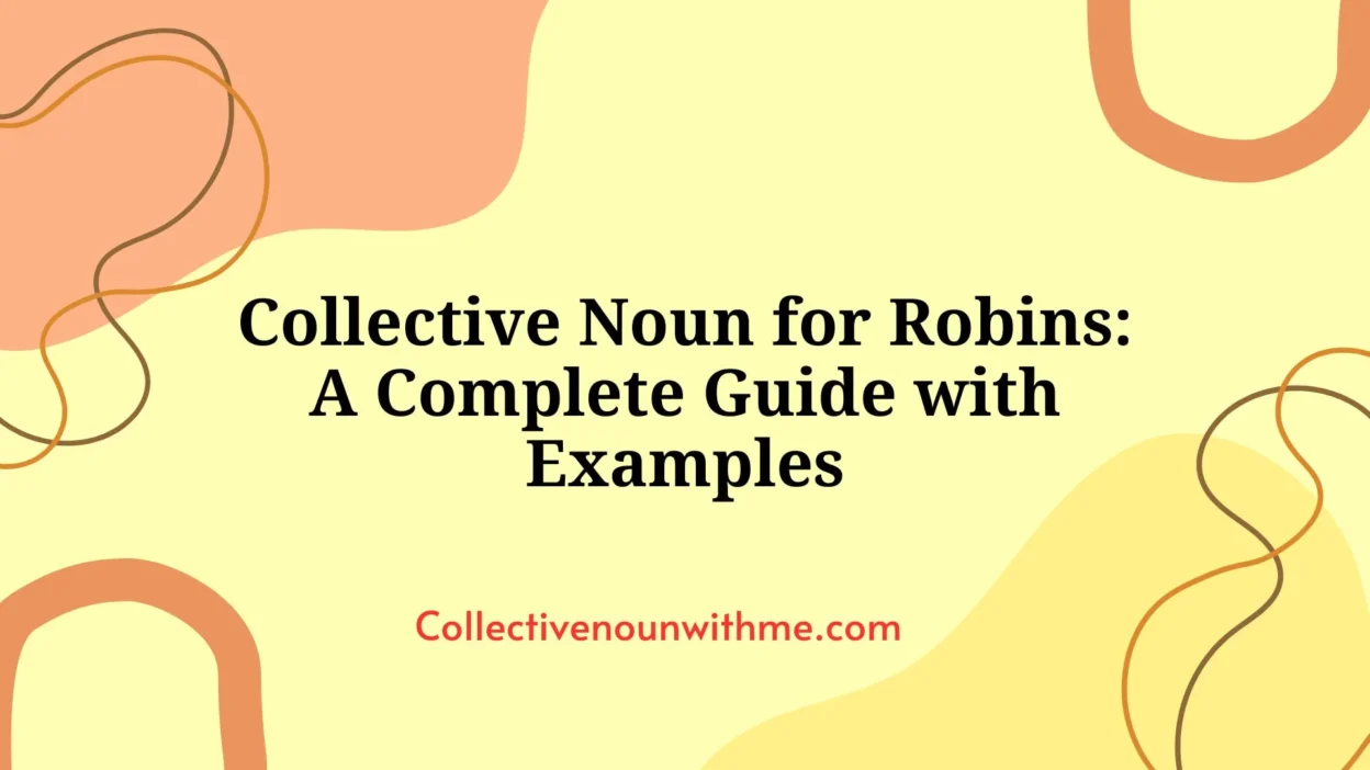 Collective Noun for Robins: A Complete Guide with Examples
