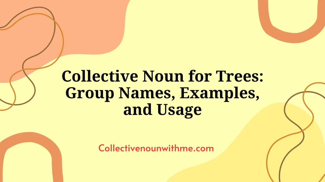 Collective Noun for Trees: Group Names, Examples, and Usage