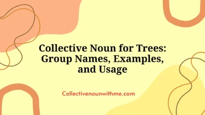 Collective Noun for Trees: Group Names, Examples, and Usage
