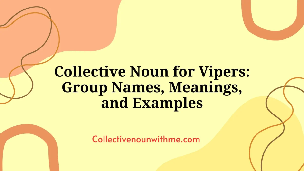 Collective Noun for Vipers: Group Names, Meanings, and Examples