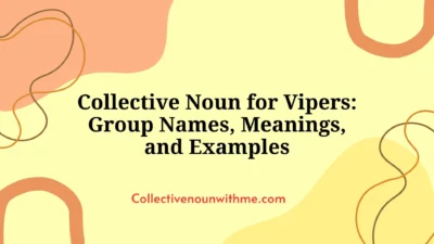 Collective Noun for Vipers: Group Names, Meanings, and Examples