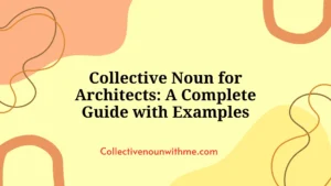 Collective Noun for Architects: A Complete Guide with Examples