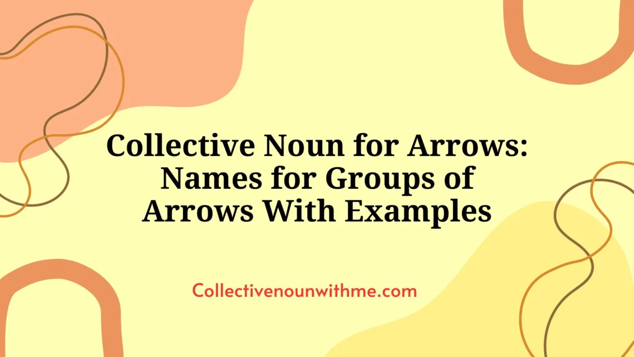 Collective Noun for Arrows: Names for Groups of Arrows With Examples