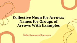 Collective Noun for Arrows: Names for Groups of Arrows With Examples