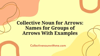 Collective Noun for Arrows: Names for Groups of Arrows With Examples