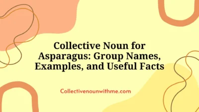 Collective Noun for Asparagus: Group Names, Examples, and Useful Facts