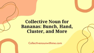 Collective Noun for Bananas: Bunch, Hand, Cluster, and More
