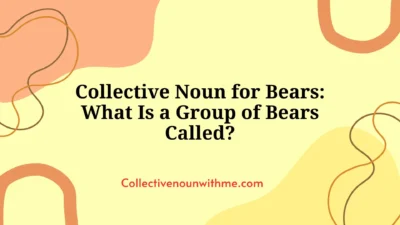 Collective Noun for Bears: What Is a Group of Bears Called?