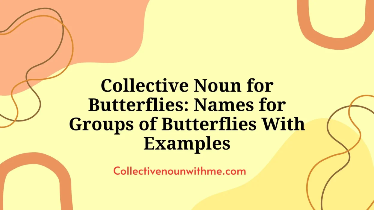 Collective Noun for Butterflies: Names for Groups of Butterflies With Examples