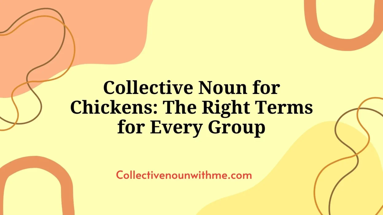 Collective Noun for Chickens: The Right Terms for Every Group
