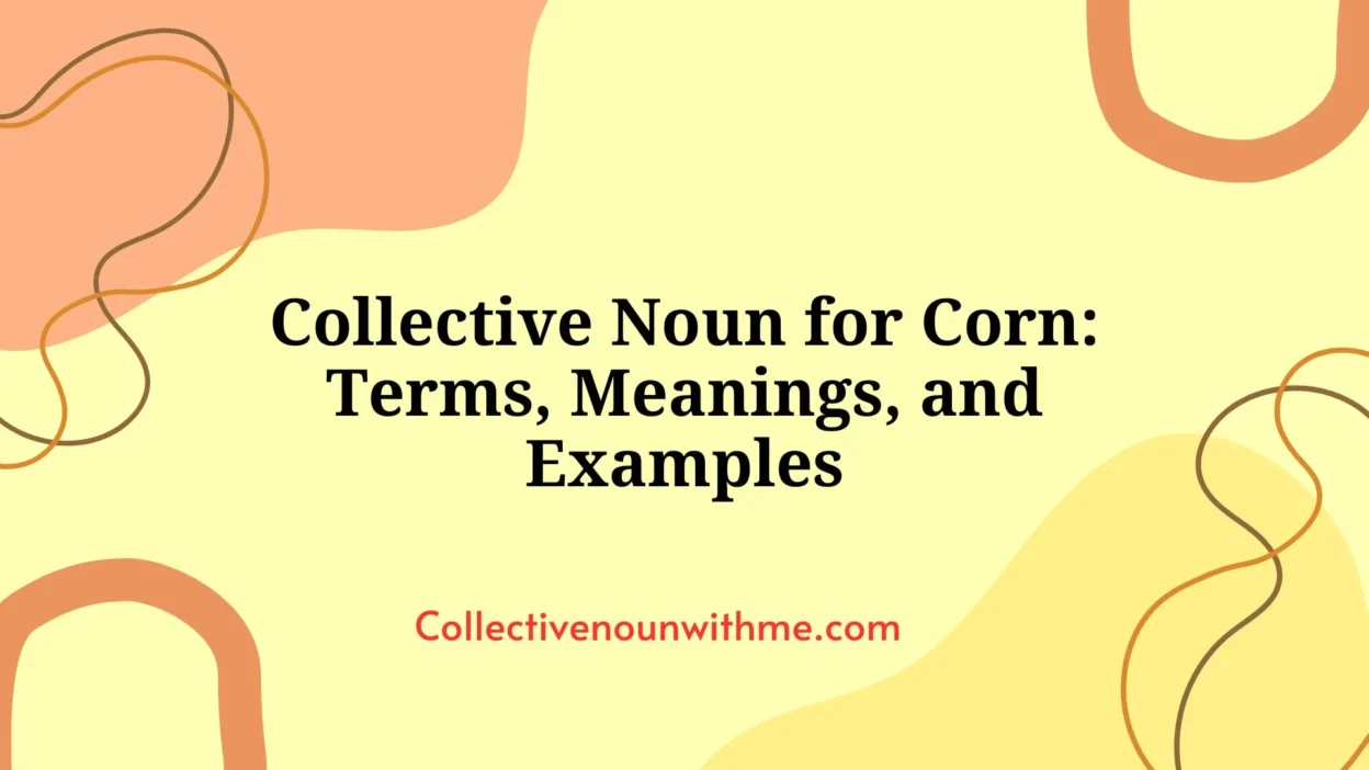 Collective Noun for Corn: Terms, Meanings, and Examples