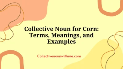 Collective Noun for Corn: Terms, Meanings, and Examples