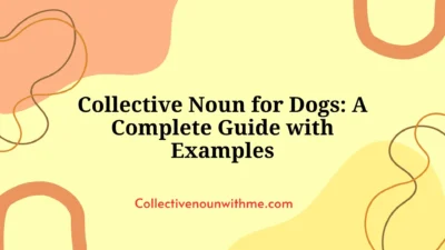Collective Noun for Dogs: A Complete Guide with Examples