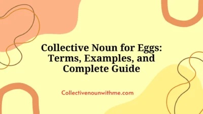 Collective Noun for Eggs: Terms, Examples, and Complete Guide