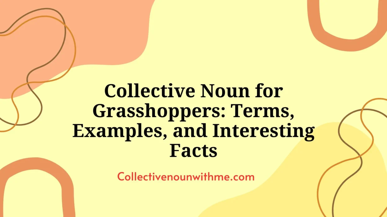 Collective Noun for Grasshoppers: Terms, Examples, and Interesting Facts