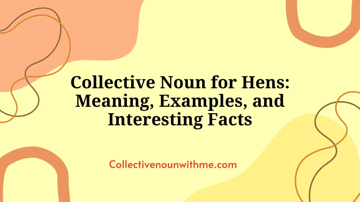 Collective Noun for Hens: Meaning, Examples, and Interesting Facts