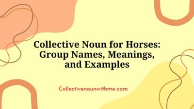 Collective Noun for Horses: Group Names, Meanings, and Examples