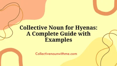 Collective Noun for Hyenas: A Complete Guide with Examples