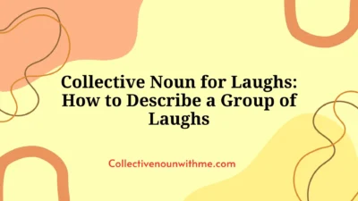 Collective Noun for Laughs: How to Describe a Group of Laughs