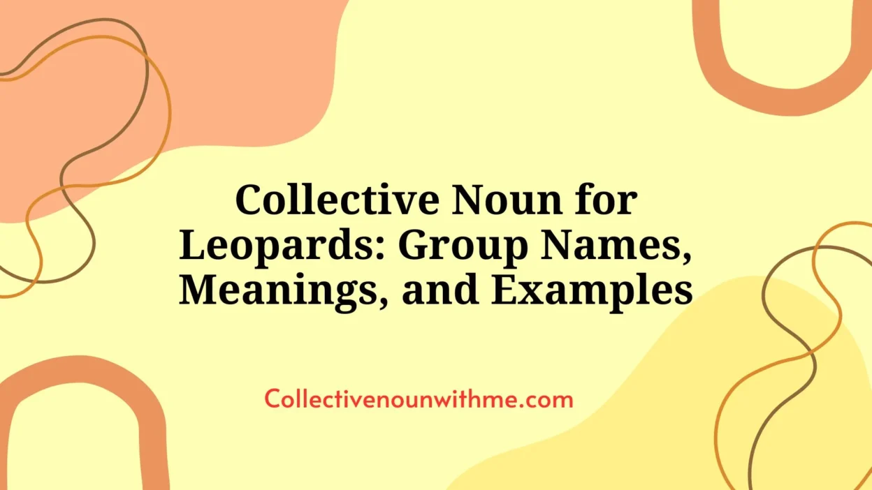 Collective Noun for Leopards: Group Names, Meanings, and Examples