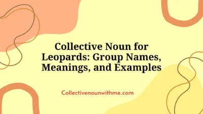 Collective Noun for Leopards: Group Names, Meanings, and Examples