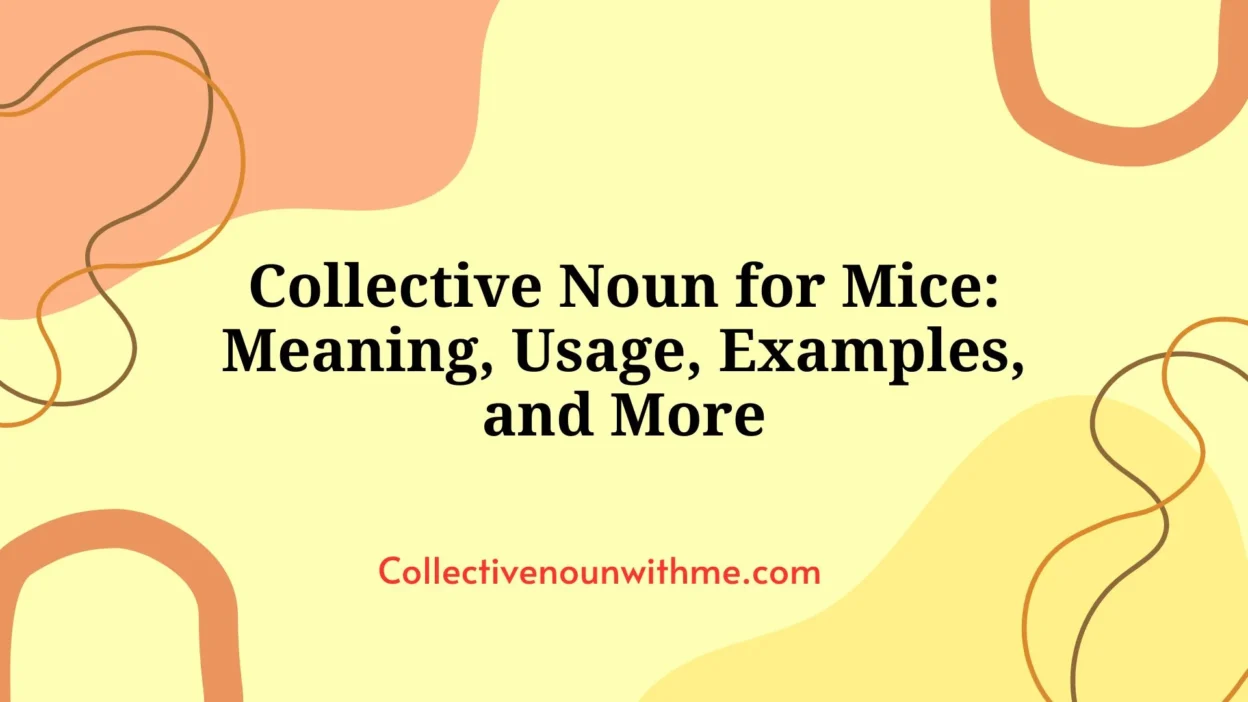 Collective Noun for Mice: Meaning, Usage, Examples, and More