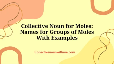Collective Noun for Moles: Names for Groups of Moles With Examples