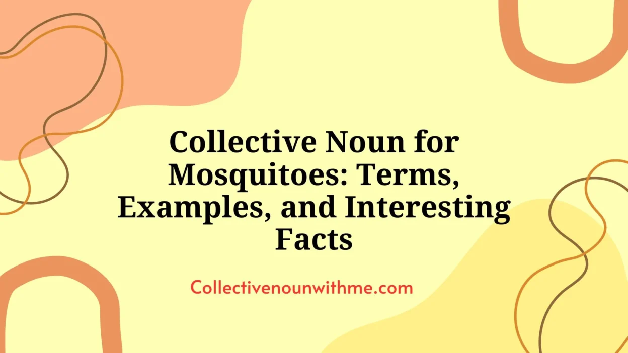 Collective Noun for Mosquitoes: Terms, Examples, and Interesting Facts