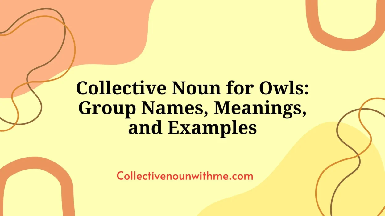 Collective Noun for Owls: Group Names, Meanings, and Examples