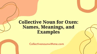 Collective Noun for Oxen: Names, Meanings, and Examples
