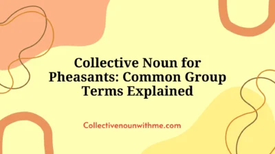 Collective Noun for Pheasants: Common Group Terms Explained