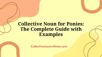 Collective Noun for Ponies: The Complete Guide with Examples