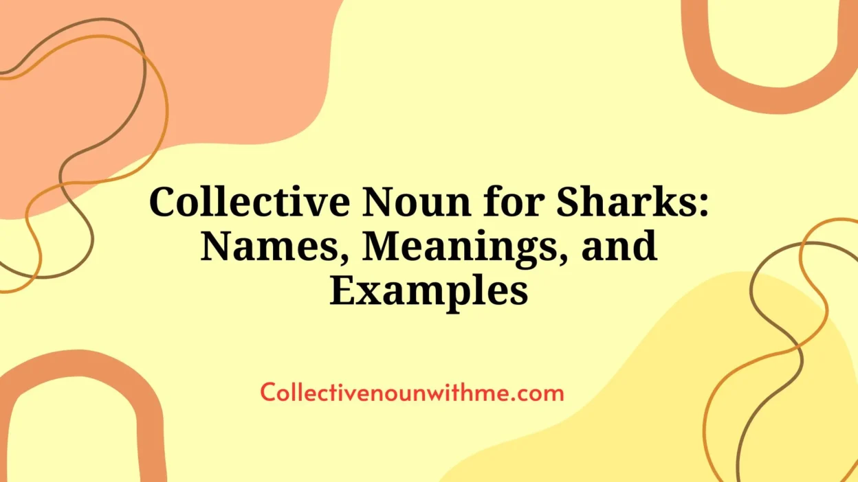 Collective Noun for Sharks: Names, Meanings, and Examples