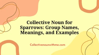 Collective Noun for Sparrows: Group Names, Meanings, and Examples