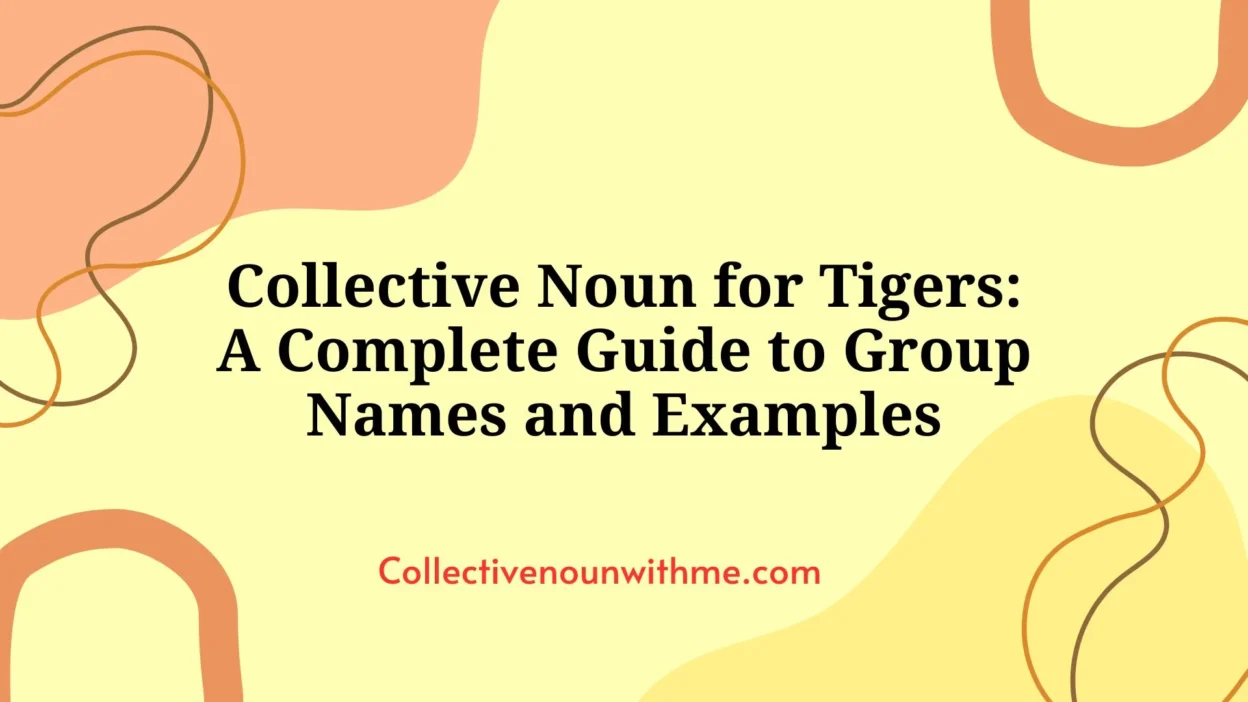 Collective Noun for Tigers: A Complete Guide to Group Names and Examples