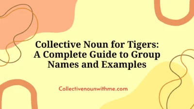 Collective Noun for Tigers: A Complete Guide to Group Names and Examples