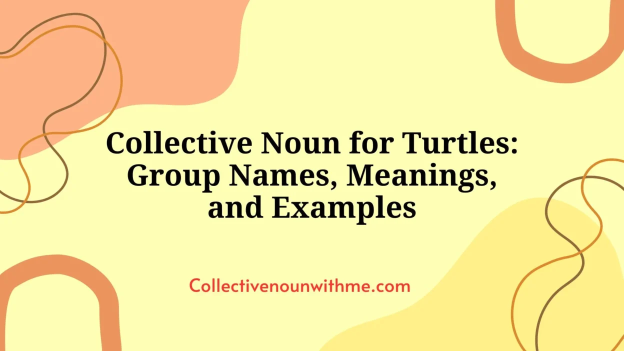 Collective Noun for Turtles: Group Names, Meanings, and Examples