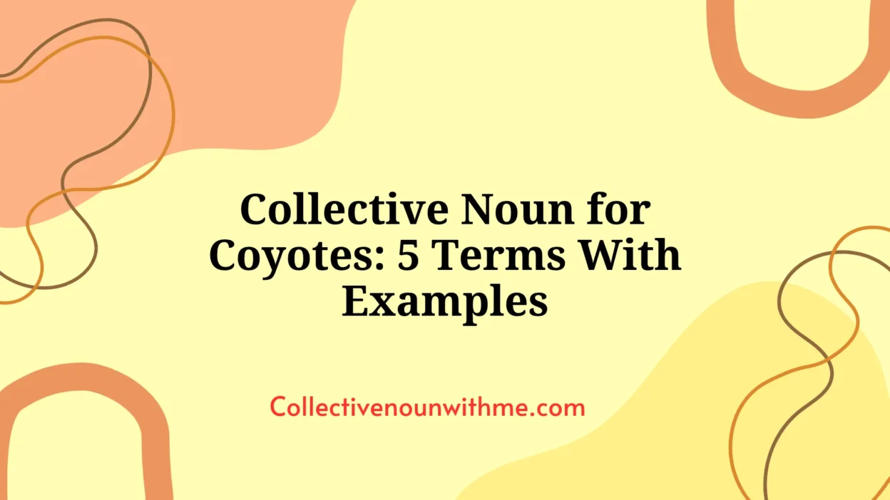 Collective Noun for Coyotes: 5 Terms With Examples