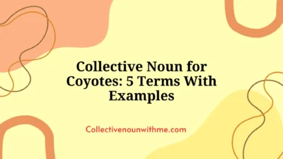 Collective Noun for Coyotes: 5 Terms With Examples