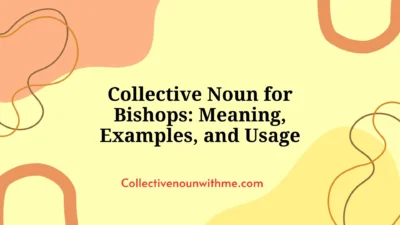 Collective Noun for Bishops: Meaning, Examples, and Usage