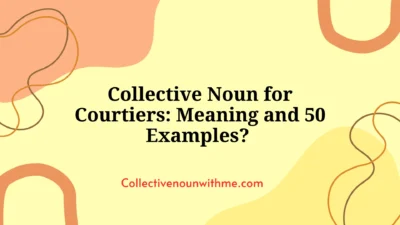 Collective Noun for Courtiers: Meaning and 50 Examples?