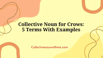 Collective Noun for Crows: 5 Terms With Examples
