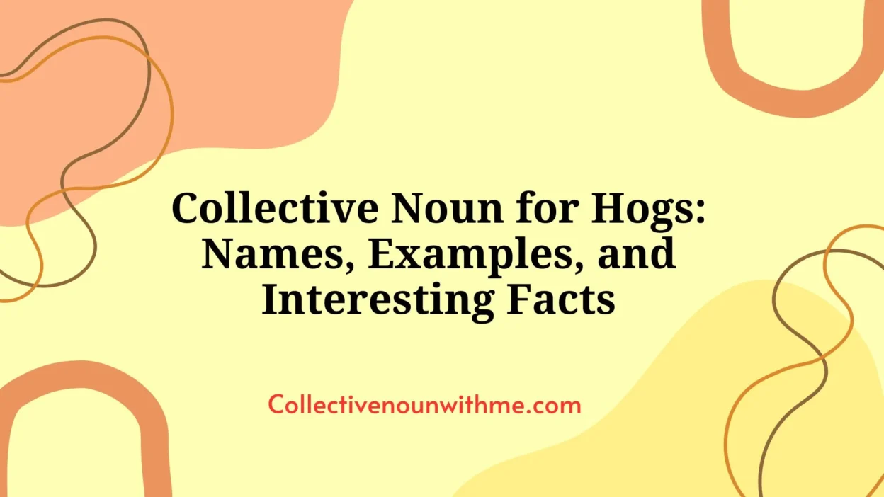 Collective Noun for Hogs: Names, Examples, and Interesting Facts