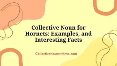 Collective Noun for Hornets: Examples, and Interesting Facts